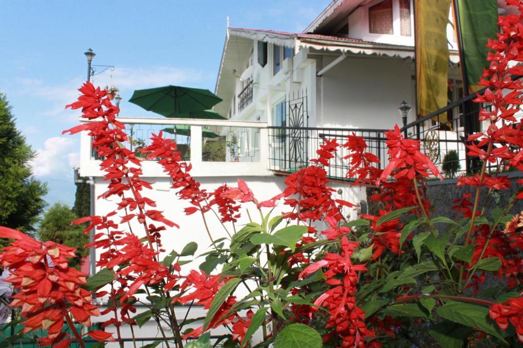 Little Tibet Resort Mall Road Darjeeling  Esterno foto
